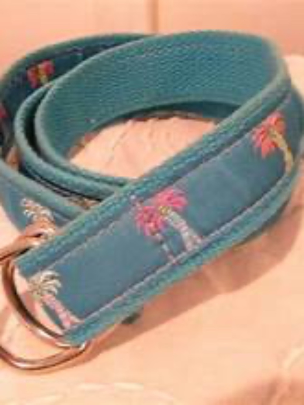 Douglas Paquette Turquoise  Embroidered Palm Tree Canvas Belt size Large